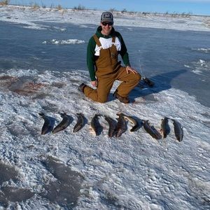 Meet your Posher, Nick